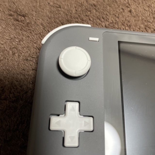 Nintendo Switch Liteグレー　モンスターハンターRISE
