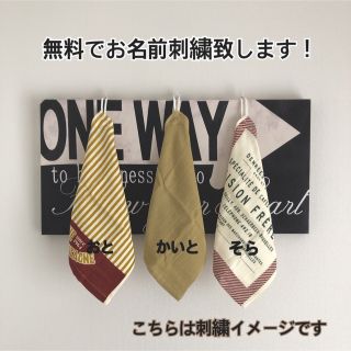 ハム様専用です！　9枚セット♪(外出用品)