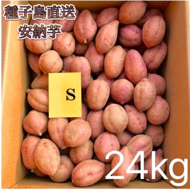 安納紅Sサイズ【絶品】種子島産  安納芋S 24kg(箱別)