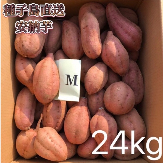 【絶品】種子島産  安納芋M 24kg(箱別)