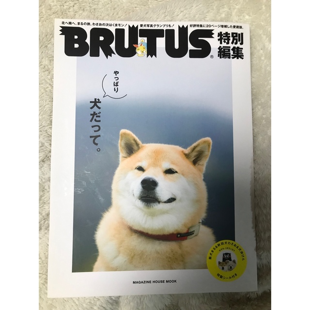 BRUTUS 特別編集　やっぱり犬だって。　わさお エンタメ/ホビーの雑誌(アート/エンタメ/ホビー)の商品写真