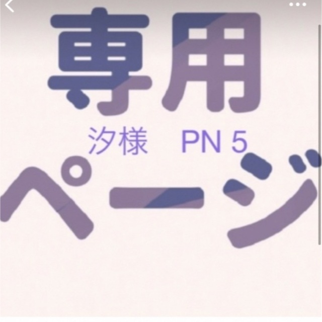 専用ページ　PN5セット