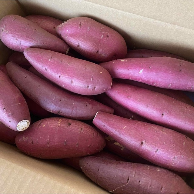 B品Mサイズ熟成シルクスイート5kg 千葉県産さつまいもの通販 by おいも ...