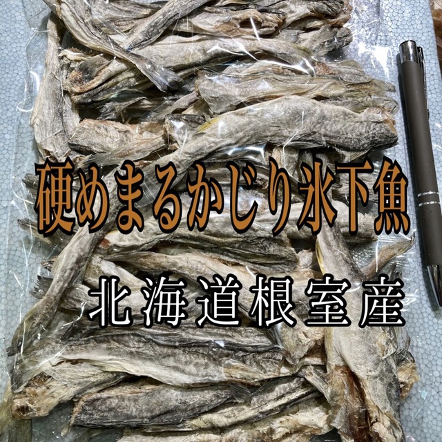 珍味 硬めまるかじり氷下魚（こまい）北海道根室産 別名：寒海