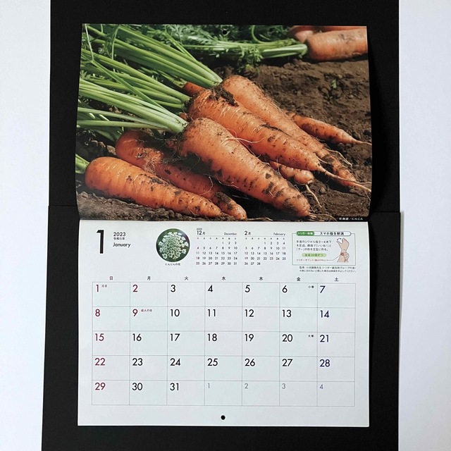 【送料込】2023年 壁掛けカレンダー  カゴメ 野菜 果実 インテリア/住まい/日用品の文房具(カレンダー/スケジュール)の商品写真