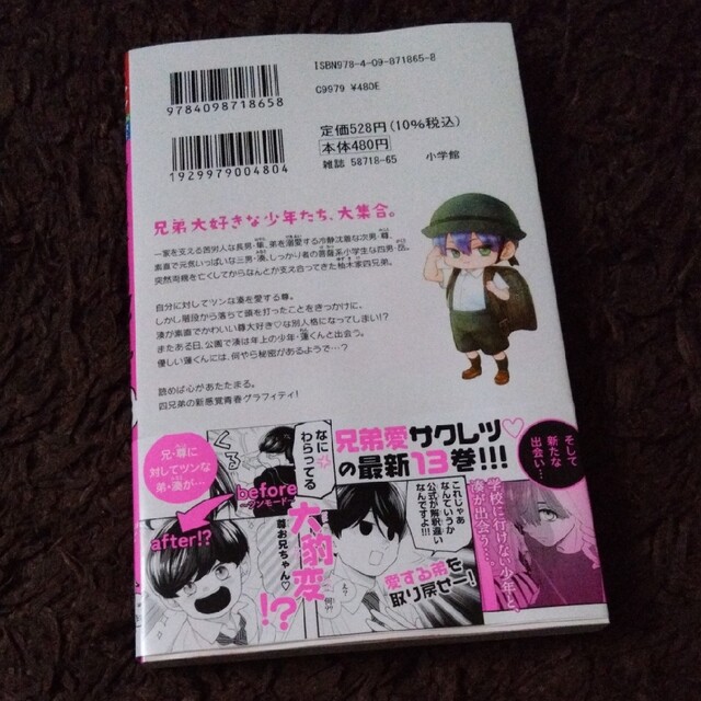 小学館(ショウガクカン)の柚木さんちの四兄弟。 １３ 藤沢志月 エンタメ/ホビーの漫画(少女漫画)の商品写真