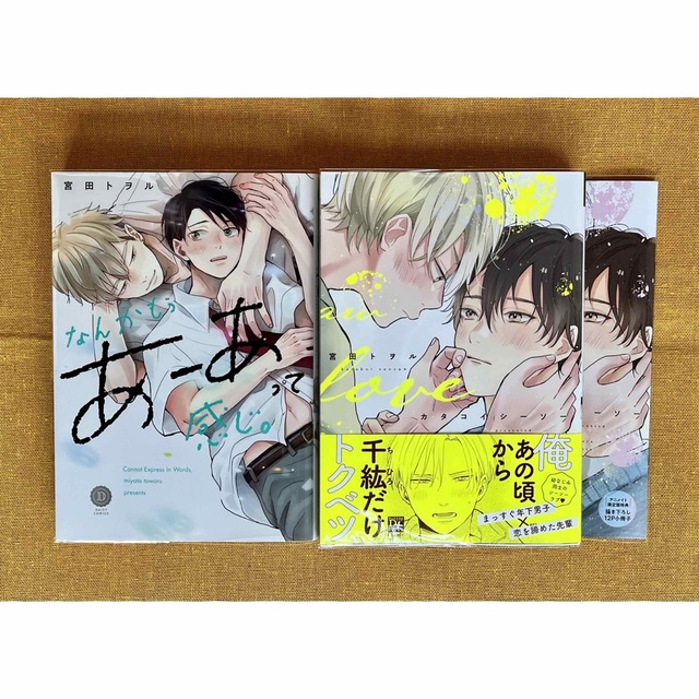 宮田トヲル　2冊セット　なんかもうあーあって感じ。　カタコイシーソー | フリマアプリ ラクマ