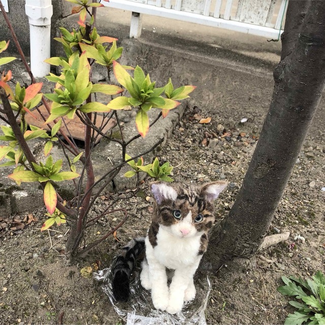 羊毛フェルト リアル猫人形 キジトラ 羊毛フェルト リアル猫人形 キジトラ