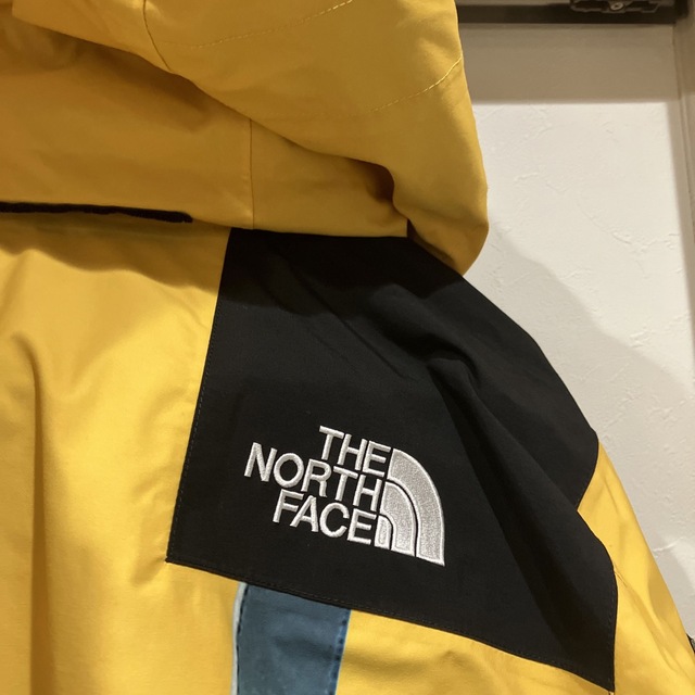 Supreme(シュプリーム)のSupreme The North Face 自由の女神 マウンテンパーカー美品 メンズのジャケット/アウター(マウンテンパーカー)の商品写真