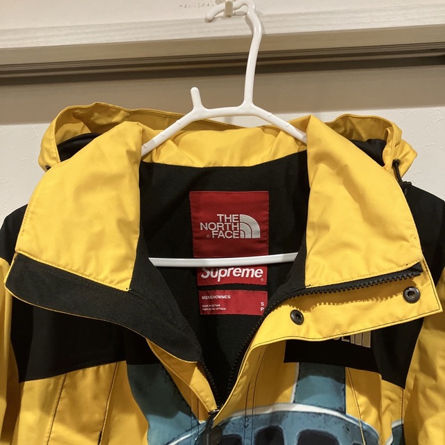 Supreme(シュプリーム)のSupreme The North Face 自由の女神 マウンテンパーカー美品 メンズのジャケット/アウター(マウンテンパーカー)の商品写真