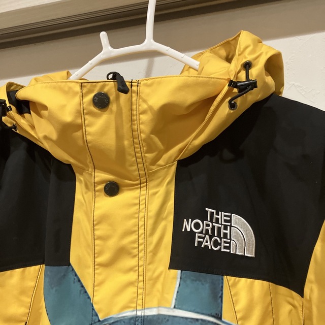 Supreme The North Face 自由の女神 マウンテンパーカー美品