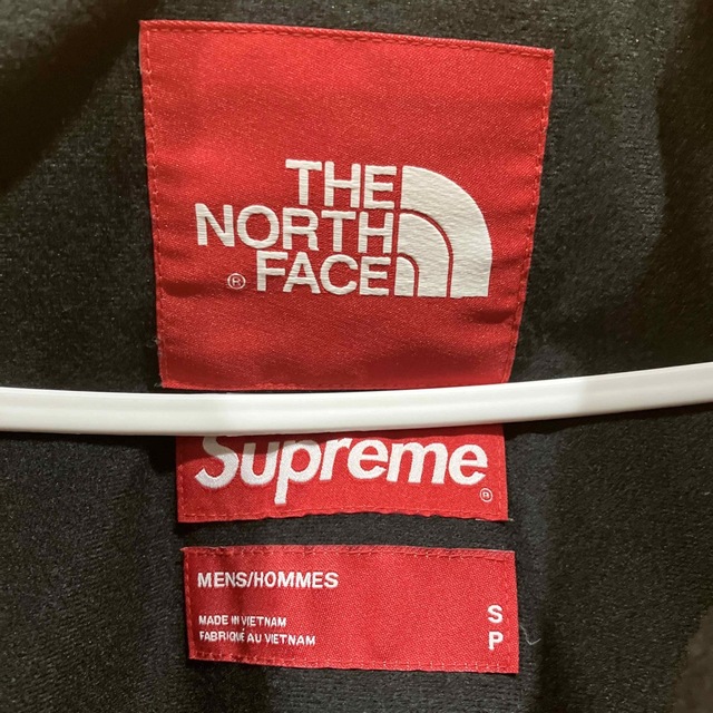 Supreme(シュプリーム)のSupreme The North Face 自由の女神 マウンテンパーカー美品 メンズのジャケット/アウター(マウンテンパーカー)の商品写真