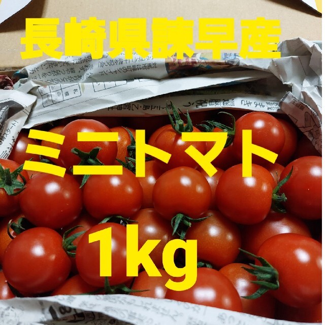 長崎県諫早産ミニトマト1kg 食品/飲料/酒の食品(野菜)の商品写真
