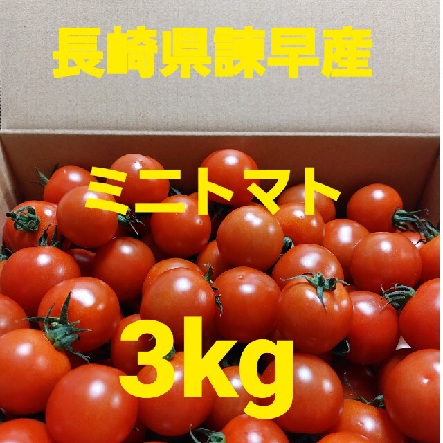 長崎県諫早産ミニトマト3kg 食品/飲料/酒の食品(野菜)の商品写真