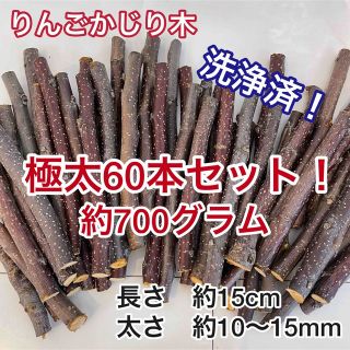 りんご　かじり木　枝　青森県津軽産　極太60本セット　洗浄済(小動物)