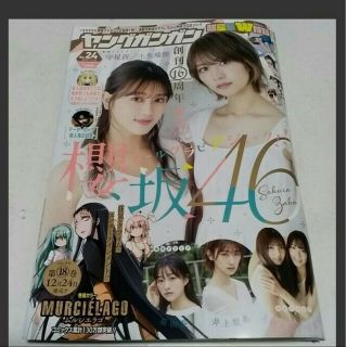 ケヤキザカフォーティーシックス(欅坂46(けやき坂46))の櫻坂46  ヤングガンガン  2020 24号(漫画雑誌)