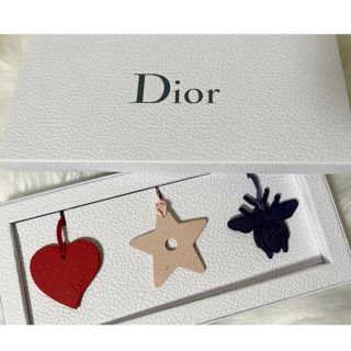 ディオール(Dior)の【新品】会員限定非売品　ノベルティ　(ノベルティグッズ)