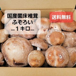 国産菌床椎茸【朝採り直送】ふぞろい椎茸１キロ(野菜)