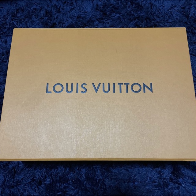 LOUIS VUITTON(ルイヴィトン)のSupreme  Louis Vuitton Box Logo メンズのトップス(パーカー)の商品写真