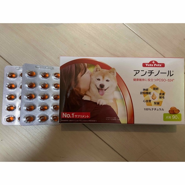 Vetz Petz アンチノール 90錠