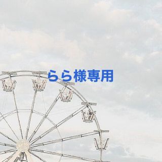 らら様専用(その他)