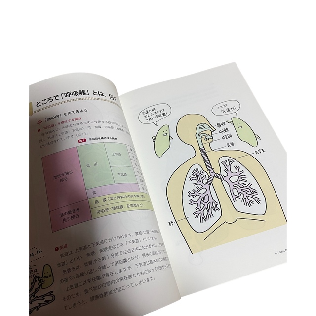 【2日限定値下げ】やりなおしの呼吸と循環とことんマスター エンタメ/ホビーの本(健康/医学)の商品写真