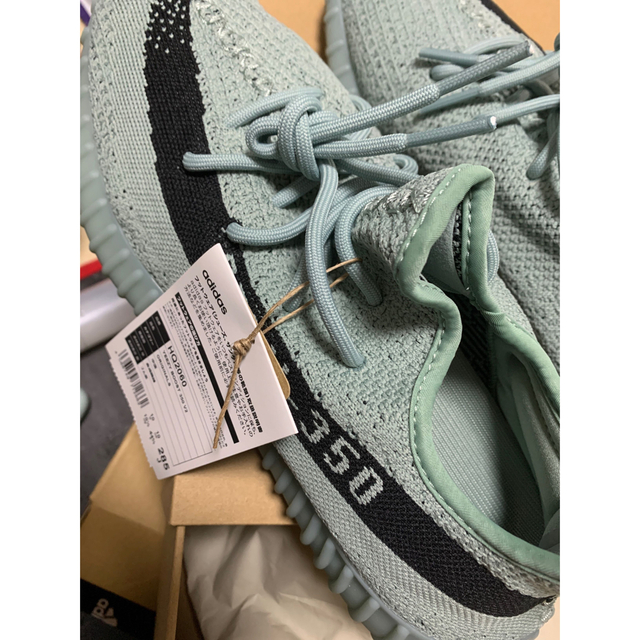 adidas YEEZY Boost 350 V2 Salt イージー