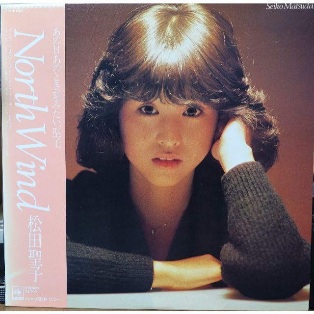 廃盤LP】松田聖子 / North Wind - エンタメ その他