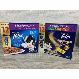 ネスレ(Nestle)のフィリックス felix 成猫用　24袋(ペットフード)