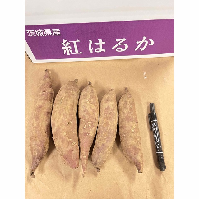 茨城県産紅はるか　さつまいも　SM混合サイズ　10kg 焼き芋サイズ 食品/飲料/酒の食品(野菜)の商品写真