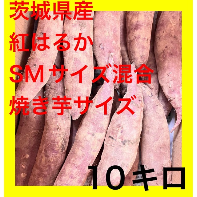 茨城県産紅はるか　さつまいも　SM混合サイズ　10kg 焼き芋サイズ 食品/飲料/酒の食品(野菜)の商品写真