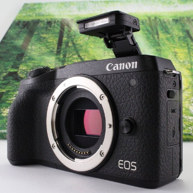 新しい季節 Canon ミラーレス一眼カメラEOS M6 Mark II ボディー