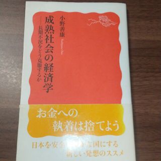 成熟社会の経済学 長期不況をどう克服するか(その他)