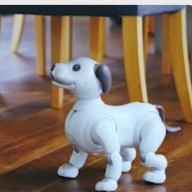 レビュー高評価のおせち贈り物 SONY Aibo ESR-1000 使用頻度少 アクセサリー多数あり その他 