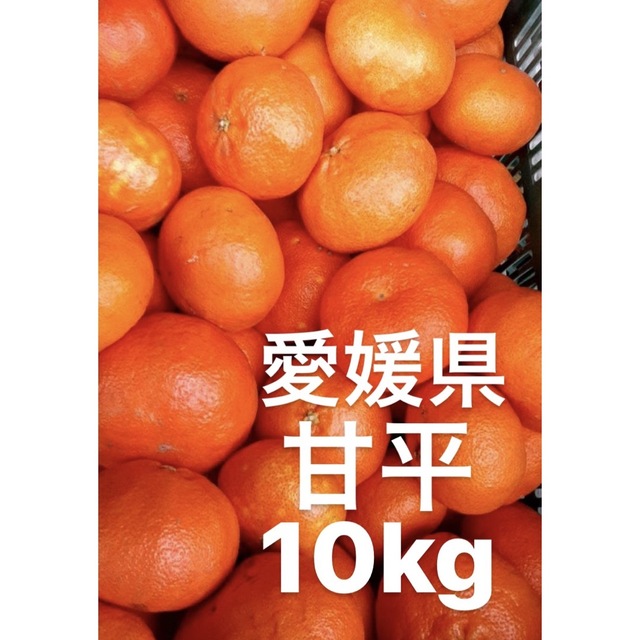 フルーツ　愛媛県産　柑橘　甘平　10kg