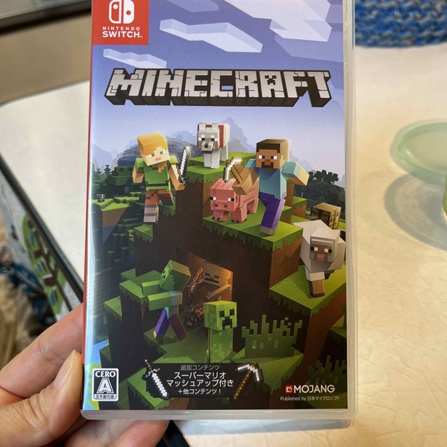 Minecraft Switch