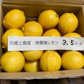 広島県大崎上島産無農薬レモン　3.5kg(フルーツ)