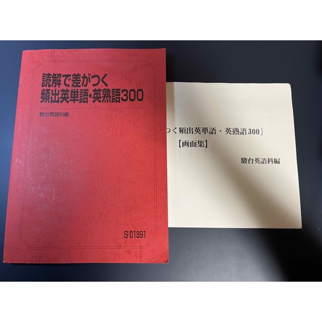 読解で差がつく頻出英単語・英熟語300 駿台