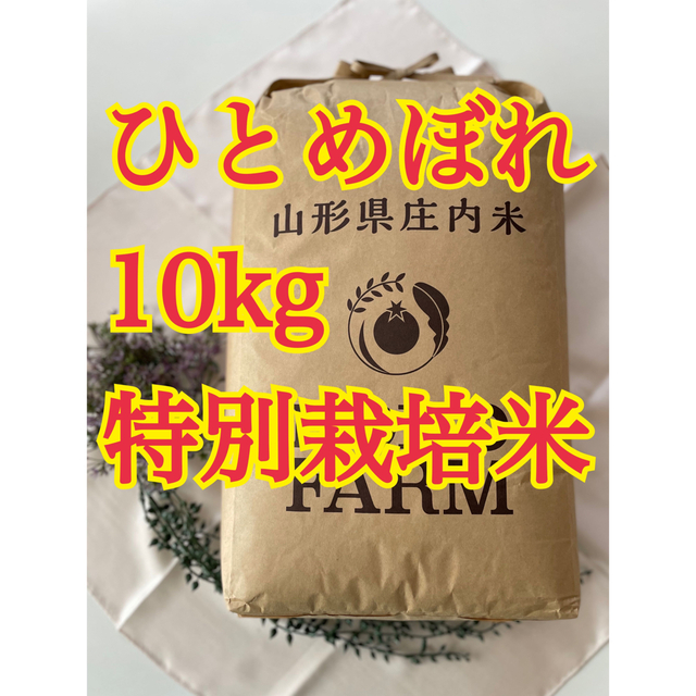 ひとめぼれ　山形　10kg　令和4年産　特別栽培米　米/穀物