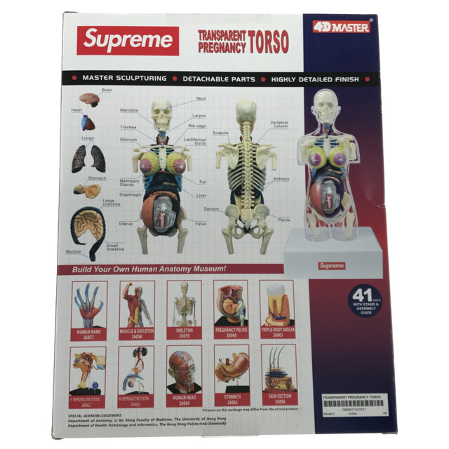 Supreme(シュプリーム)のSUPREME シュプリーム 18AW Transparent Torso クリア トルソー フィギュア 人体模型 マルチ エンタメ/ホビーのフィギュア(その他)の商品写真