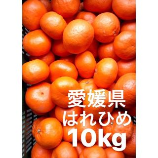 愛媛県産　はれひめ　柑橘　10kg(フルーツ)