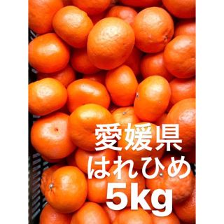 愛媛県産　はれひめ　柑橘　5kg(フルーツ)