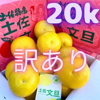 コスパ最強！今だけ8000円　20キロ　美味し〜い文旦　01(フルーツ)