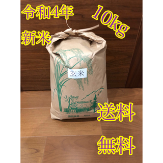 令和4年度産 新米 玄米ヒノヒカリ10kg 