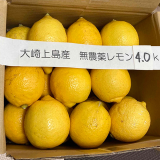 広島県大崎上島産無農薬レモン　4.0kg(フルーツ)