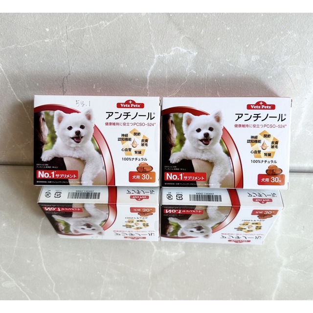 アンチノール 犬用 未開封品 30粒×2箱 計60粒 1箱難ありの通販 by くま