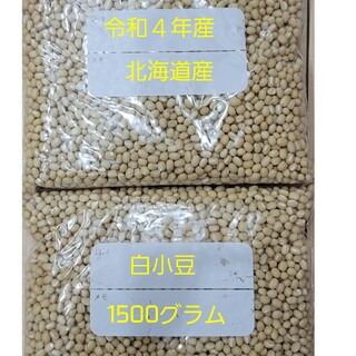 白小豆(1500グラム)(野菜)