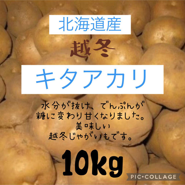 北海道産越冬じゃがいもキタアカリ10kg 食品/飲料/酒の食品(野菜)の商品写真