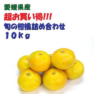 【超お買い得!】旬の柑橘 詰め合わせ 10kg補償有(フルーツ)