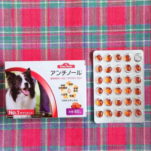 アンチノール　89粒 その他のペット用品(犬)の商品写真